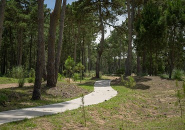 Lote en venta en barrio Bosques 